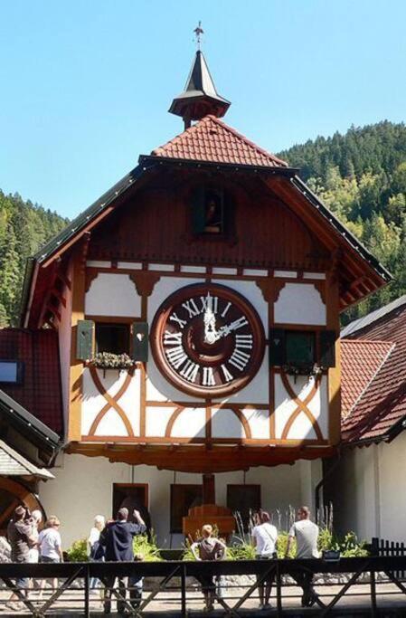 Two-Bedroom Apartment Near Triberg Waterfall Triberg im Schwarzwald Zewnętrze zdjęcie