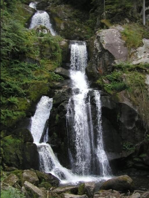 Two-Bedroom Apartment Near Triberg Waterfall Triberg im Schwarzwald Zewnętrze zdjęcie